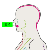 E4